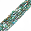 Natural Chrysocolla Beads Strands G-S301-48-1