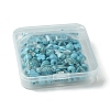 Synthetic Turquoise Beads Set G-FS0005-82-6