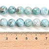 Natural Larimar Beads Strands GG-CBA007A-B01-8.5mm-5