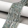 Natural Apatite Beads Strands G-B107-C01-01-1