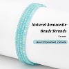 2 Strands Natural Amazonite Beads Strands G-OC0005-35-4