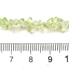 Transparent Glass Beads Strands GLAA-P060-01C-18-4