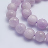 Natural Kunzite Beads Strands G-L478-14-10mm-2