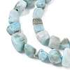 Natural Larimar Beads Strands G-K203-48-3