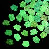 Luminous Transparent Acrylic Beads OACR-B031-19-4