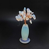 Natural Opalite Vase Gravel Fortune Tree Mini Home Creative Office Decoration Crafts Small Ornaments PW-WG4D1F4-08-1