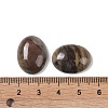 Natural Multi-Color Agate Cabochons G-B080-01A-16-3