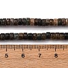 Natural Biotite Beads Strands G-L624-I12-2x4mm-5