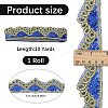 Sparkle Polyester Lace Ribbon SRIB-WH20020-049A-2