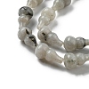 Natural Labradorite Beads Strands G-C039-A01-4
