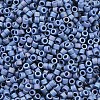 MIYUKI Delica Beads X-SEED-J020-DB2317-2
