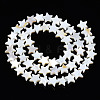 Natural Freshwater Shell Beads Strands SHEL-S278-01B-01-2