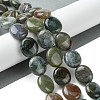 Natural Indian Agate Beads Strands G-K365-B19-03-2