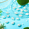 Handmade Porcelain Beads PORC-TADJ0002-01-5