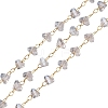 Glass & 304 Stainless Steel Beaded Chains SA-CBAD321-04A-1