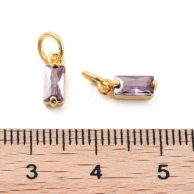 Brass Micro Pave Cubic Zirconia Charms ZIRC-F111-03G-12-1