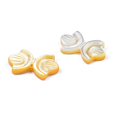 Natural Yellow Shell Beads SSHEL-S258-105B-1