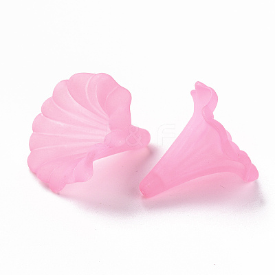 Transparent Acrylic Beads BSF796-C10-1