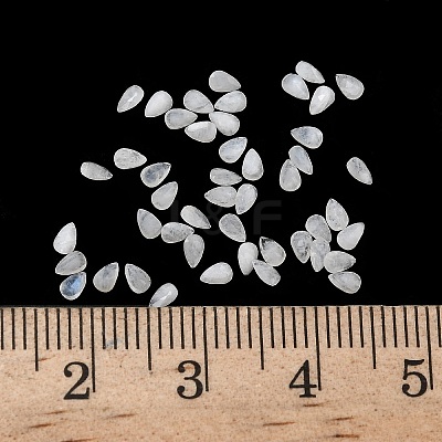 Faceted Natural White Moonstone Cabochons G-I295-05C-19-1
