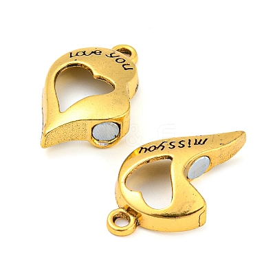 Alloy Magnetic Pendants PALLOY-Z020-05AG-1