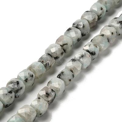 Natural Sesame Jasper Beads Strands G-H078-C24-01-1