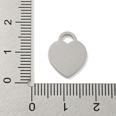 Non-Tarnish 304 Stainless Steel Pendants FIND-M017-01P-E-1