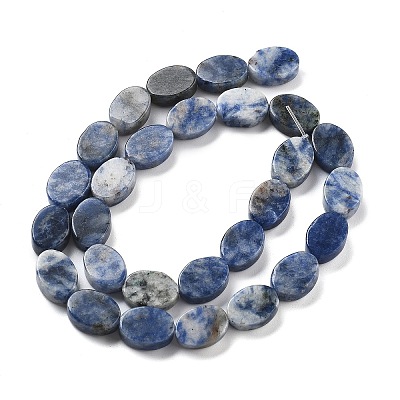 Natural Blue Spot Jasper Beads Strands G-P559-B26-01-1