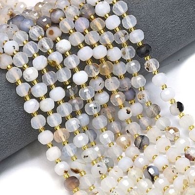 Natural Dendritic Agate Beads Strands G-K389-E61-01-1