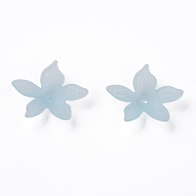 Transparent Acrylic Beads MACR-S373-127-D02-1