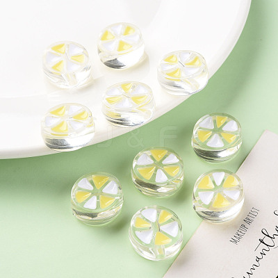 Transparent Enamel Acrylic Beads TACR-S155-005D-1