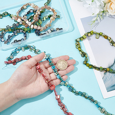 6 Strands 6 Colors Erose Shell Beads Strands BSHE-HY0001-05-1