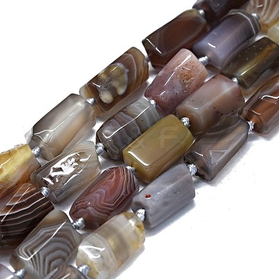 Natural Botswana Agate Beads Strands G-O170-123-1