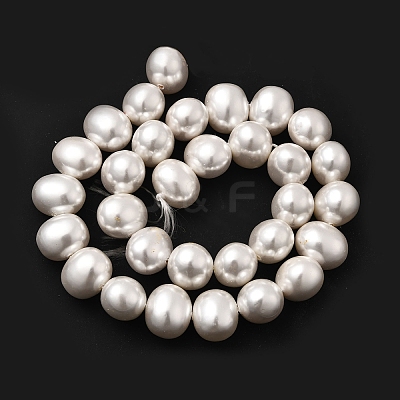 Shell Pearl Beads Strands BSHE-F013-01R-1