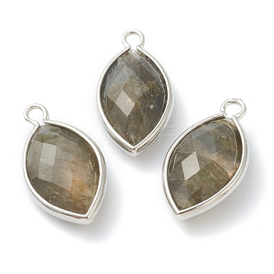 Natural Labradorite Pendants G-B009-01P-G-1