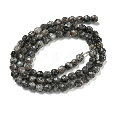 Natural Larvikite Beads Strands G-E571-A09-04-1