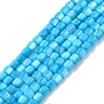 Natural Freshwater Shell Beads Strands SHEL-N003-33-A03-1