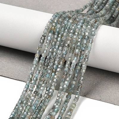 Natural Apatite Beads Strands G-B107-C01-01-1