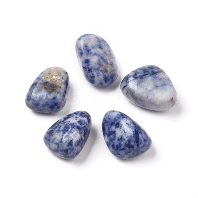 Natural Blue Spot Jasper Beads G-K302-A10-1