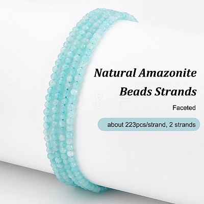 2 Strands Natural Amazonite Beads Strands G-OC0005-35-1
