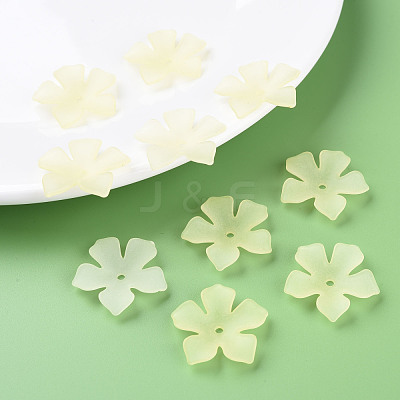 Transparent Acrylic Beads MACR-S373-119-D03-1