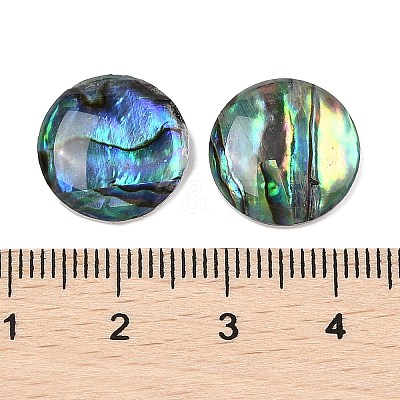 Natural Paua Shell Cabochons SSHEL-I026-20B-1