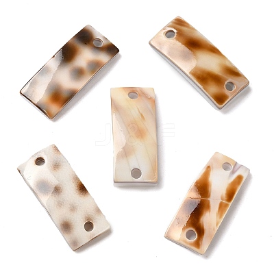 Natural Spiral Shell Connector Charms SHEL-K006-28-1