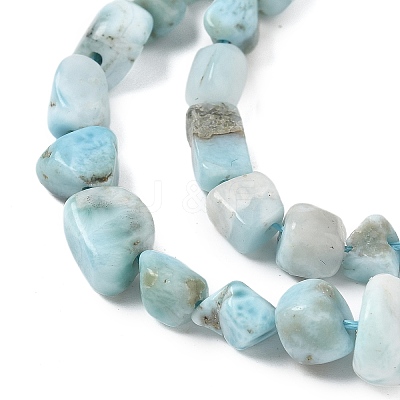 Natural Larimar Beads Strands G-K203-48-1