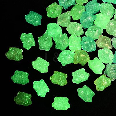 Luminous Transparent Acrylic Beads OACR-B031-19-1