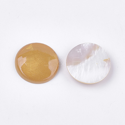 Spray Paint Freshwater Shell Cabochons SHEL-S276-09-1