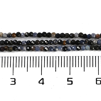 Natural Sapphire Beads Strands X-G-P553-G07-01-1