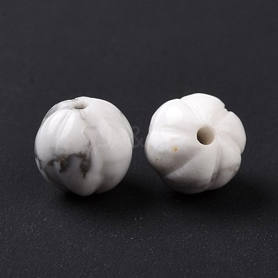 Natural Howlite Beads G-F720-03-1
