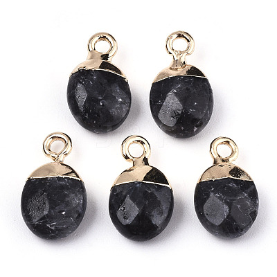 Natural Larvikite Charms G-N326-58A-1