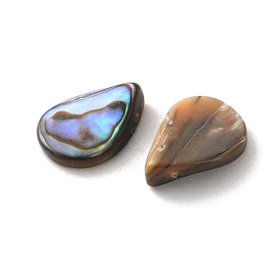 Natural Paua Shell Beads SSHEL-F305-02A-1