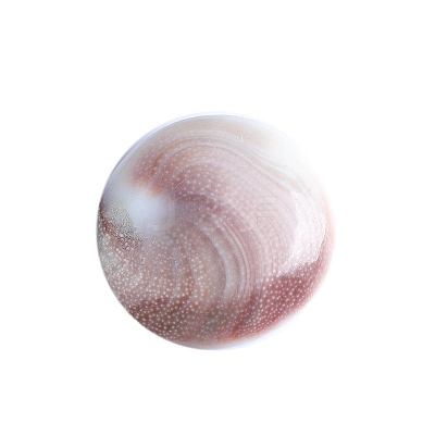 Natural Conch Shells Round Decorations PW-WG89460-01-1